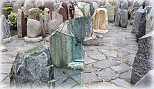 1-bild-start-mitte.jpg