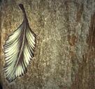 ornamente-002.jpg