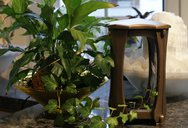 dsc00718.jpg