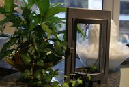 dsc00719.jpg