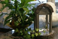 dsc00720.jpg