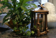 dsc00725.jpg