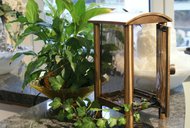 dsc00735.jpg