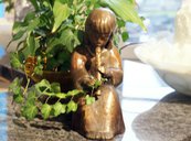dsc00747.jpg