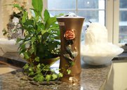 dsc00771.jpg
