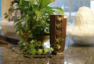 dsc00772.jpg