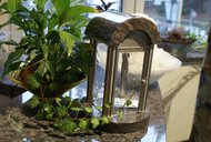 dsc00780.jpg